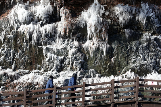 [오늘의 날씨] 대구·경북(31일,수)…한파 기승, 낮 최고 –4~3