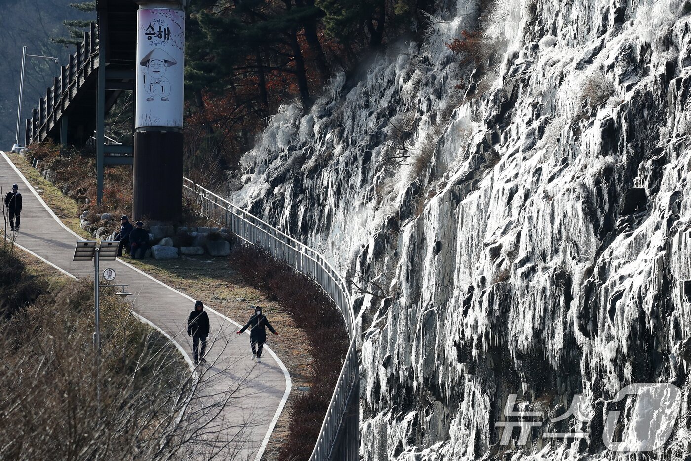 본문 이미지 - 세밑 한파가 기승을 부린 31일 대구 달성군 옥연지 송해공원 인공 빙벽이 꽁꽁 얼어 장관을 이루고 있다. 2025.12.31/뉴스1 ⓒ News1 공정식 기자