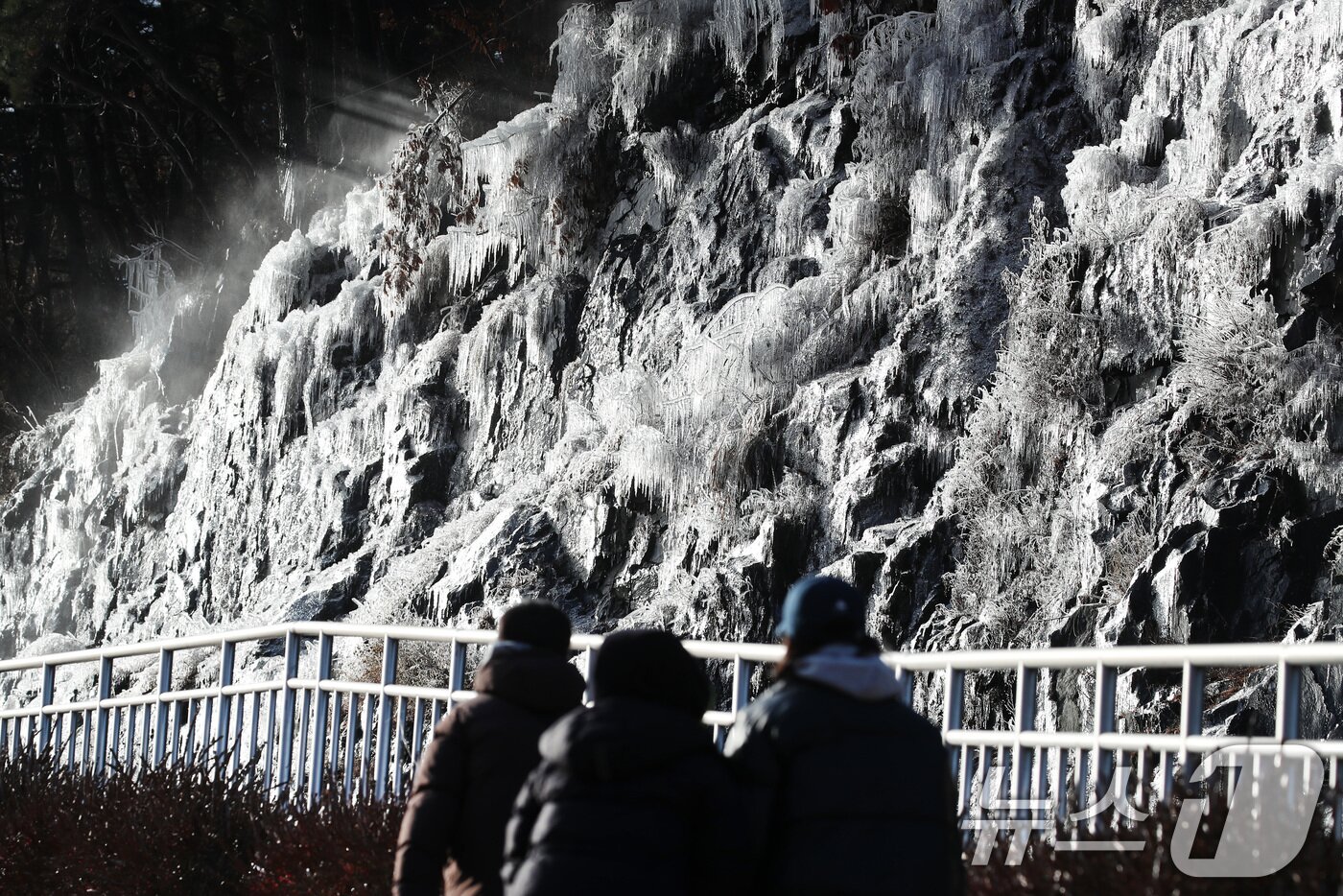 본문 이미지 - 세밑 한파가 기승을 부린 31일 대구 달성군 옥연지 송해공원 인공 빙벽이 꽁꽁 얼어 장관을 이루고 있다. 2025.12.31/뉴스1 ⓒ News1 공정식 기자