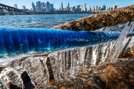 춘천·횡성 등 11곳 한파경보…동해안 건조경보