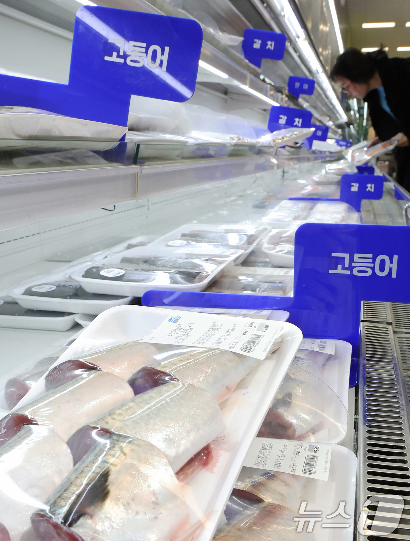 (서울=뉴스1) 장수영 기자 = 31일 서울의 한 마트를 찾은 시민이 생선을 구매하고 있다.국가데이터처가 발표한 '2025년 12월 및 연간 소비자물가동향'에 따르면 올해 연간 소 …