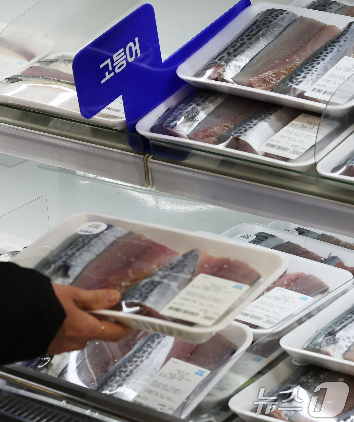 (서울=뉴스1) 장수영 기자 = 31일 서울의 한 마트를 찾은 시민이 생선을 구매하고 있다.국가데이터처가 발표한 '2025년 12월 및 연간 소비자물가동향'에 따르면 올해 연간 소 …