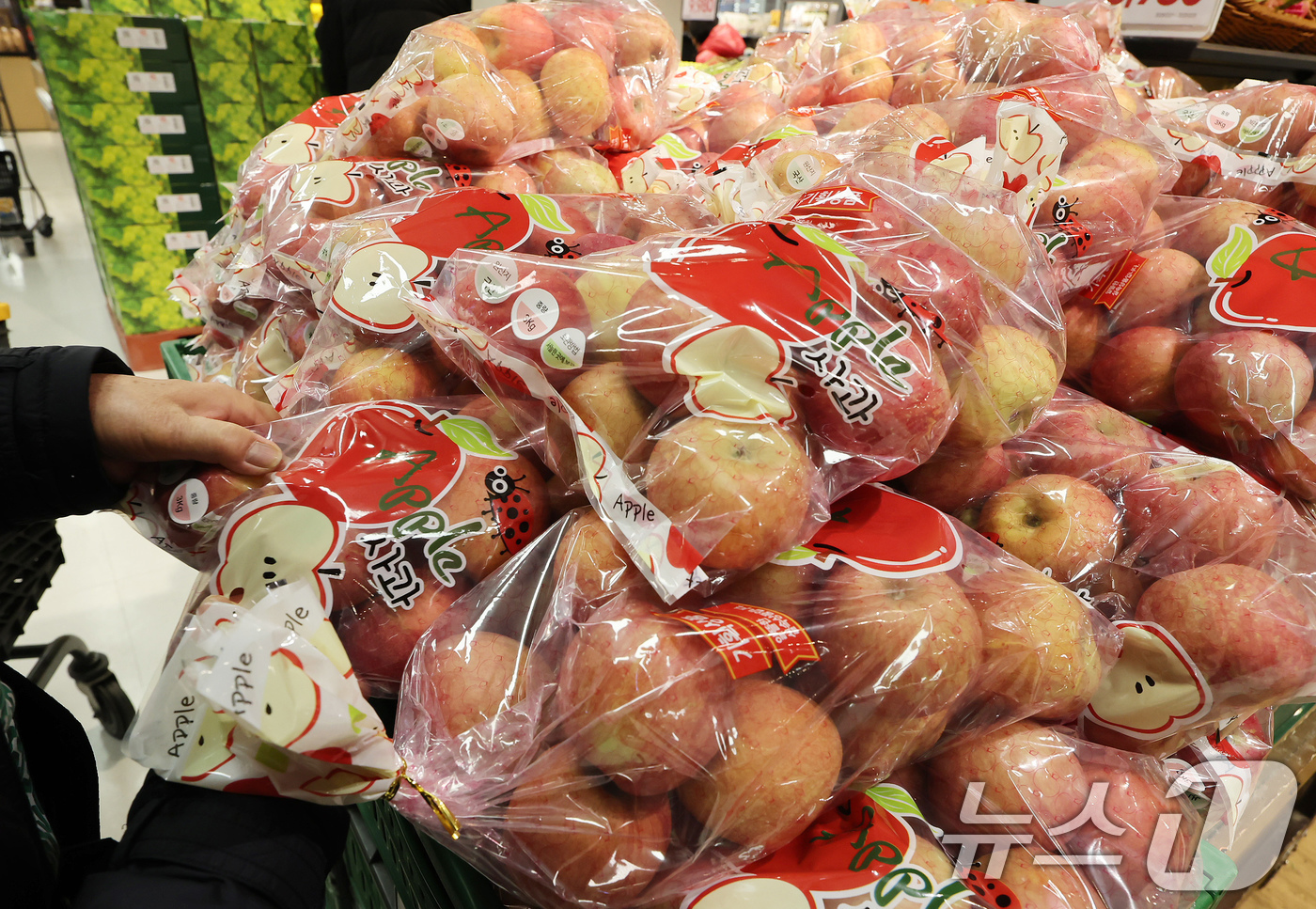(서울=뉴스1) 장수영 기자 = 31일 서울의 한 마트에서 시민이 사과를 구매하고 있다.국가데이터처가 발표한 '2025년 12월 및 연간 소비자물가동향'에 따르면 12월 소비자물가 …