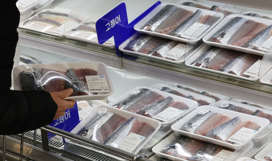 올해 고등어 10% 이상 상승