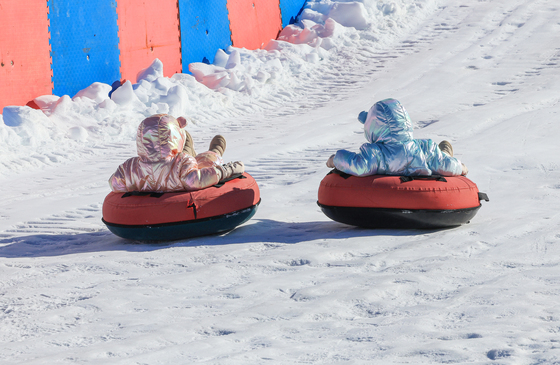 한강공원 눈썰매장에 나타난 아기곰 두 마리