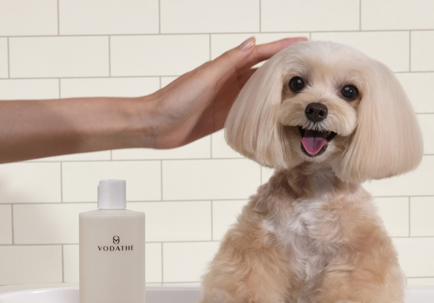 보다더, 한국농수산식품유통공사 사업 선정…"수출 경쟁력 강화"