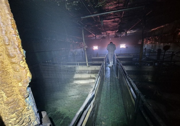 예산 신암면 돈사서 불…돼지 170여마리 폐사