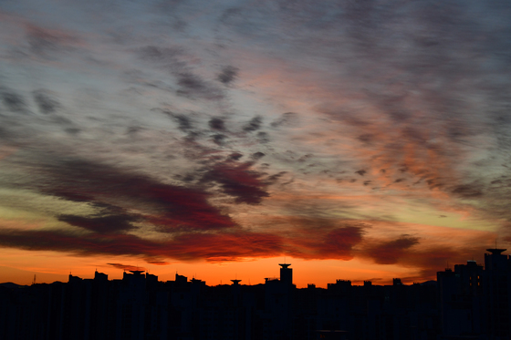 을사년 마지막 날 불태우는 저녁 노을