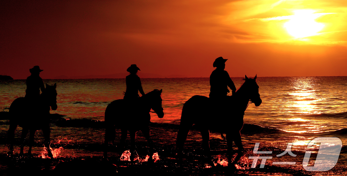 (고창=뉴스1) 유경석 기자 = '붉은 말의 해' 병오년(丙午年)을 앞두고 전북 고창 명사십리 해변에서 휘게팜 승마클럽 직원들이 붉게 물든 해안가를 따라 말을 타고 있다. 2025 …