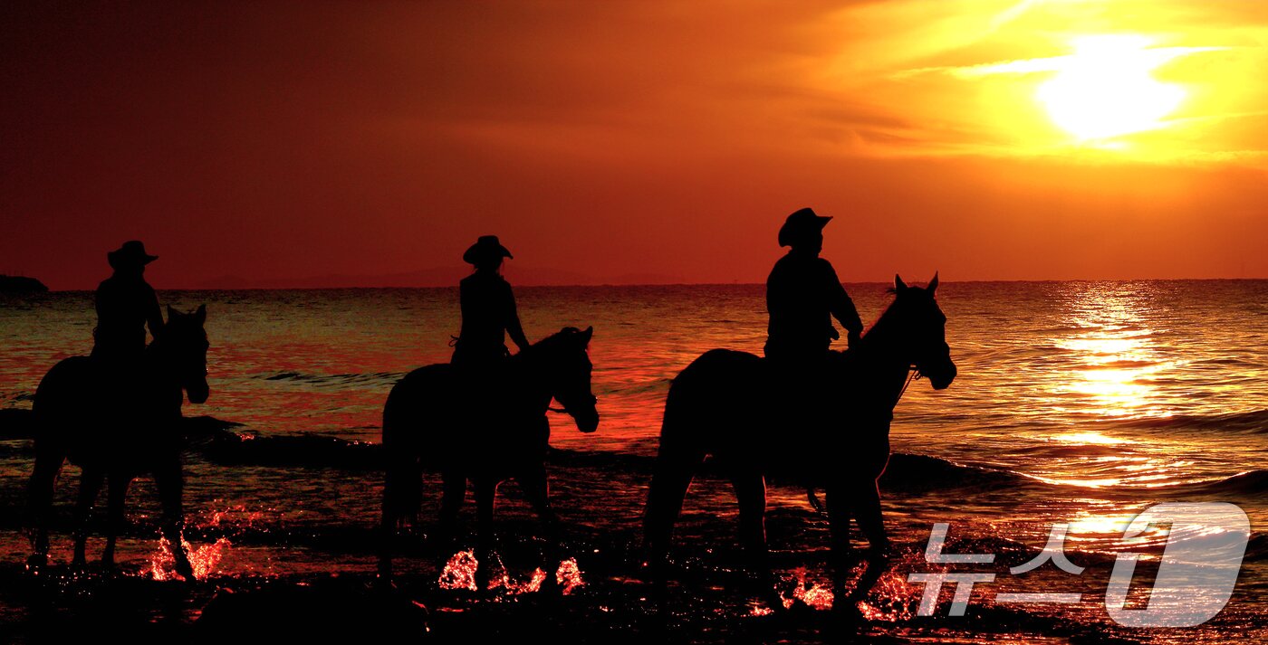 본문 이미지 - '붉은 말의 해' 병오년(丙午年)을 앞두고 전북 고창 명사십리 해변에서 휘게팜 승마클럽 직원들이 붉게 물든 해안가를 따라 말을 타고 있다. 2025.12.31/뉴스1 ⓒ News1 유경석 기자