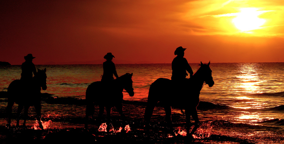 붉은 말의 해, 멈춤 없이 전진하라