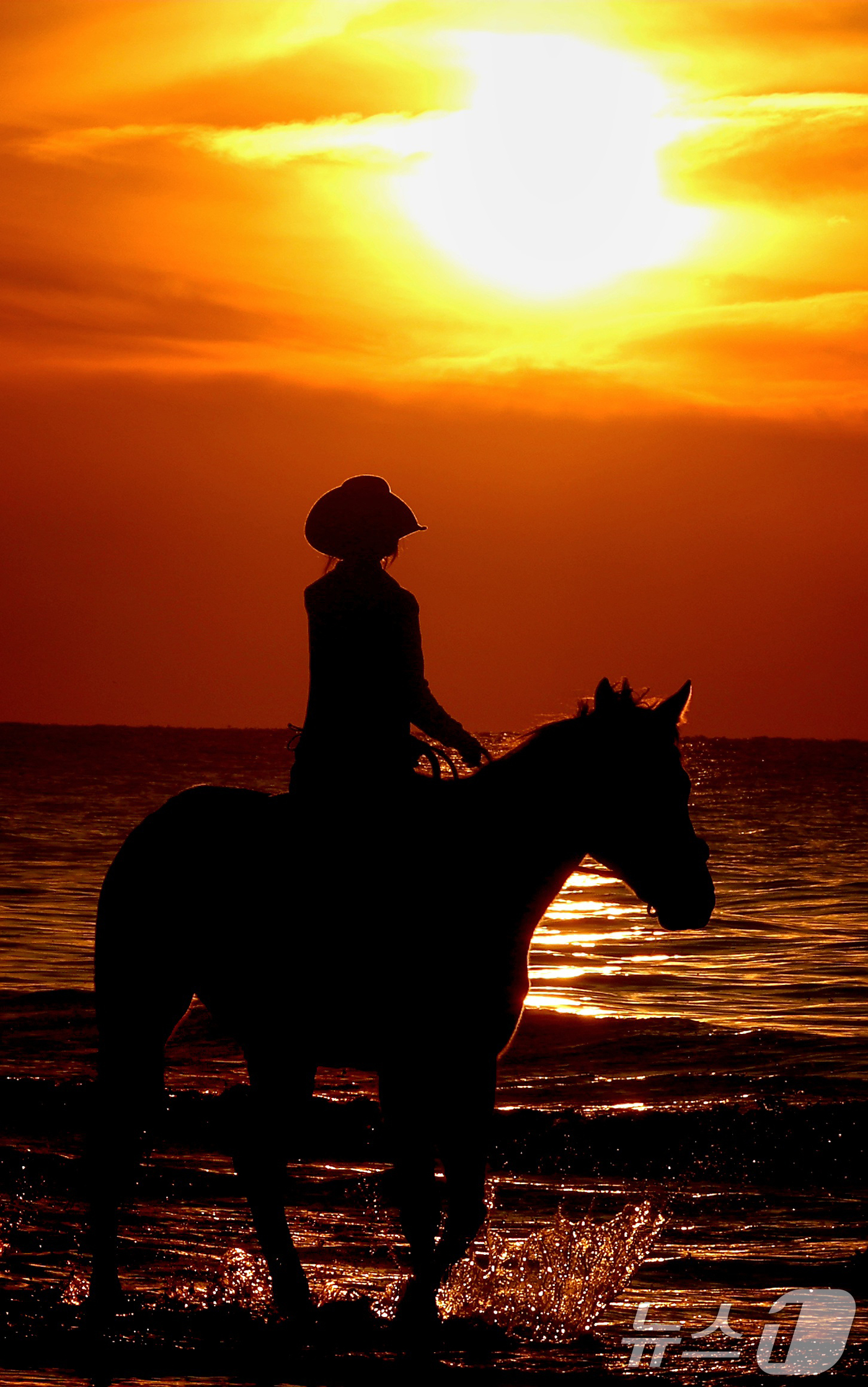 (고창=뉴스1) 유경석 기자 = '붉은 말의 해' 병오년(丙午年)을 앞두고 전북 고창 명사십리 해변에서 휘게팜 승마클럽 직원들이 붉게 물든 해안가를 따라 말을 타고 있다. 2025 …