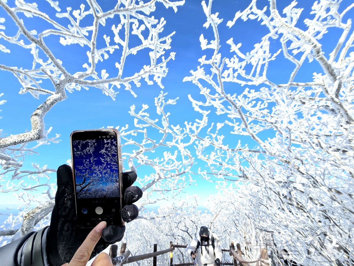 (무주=뉴스1) 장수인 기자 = 2025년 을사년(乙巳年)의 마지막 날인 31일 전북 무주군 덕유산의 향적봉에서 관광객이 상고대를 활영하고 있다. (덕유산국립공원사무소 제공. 재판 …