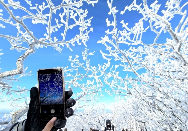 덕유산 향적봉서 "눈꽃이다" 찰칵