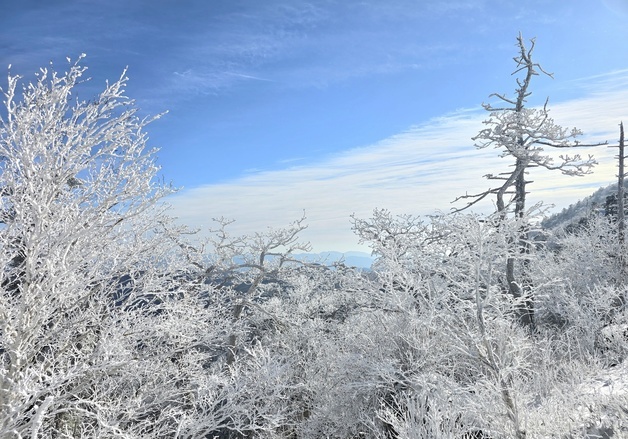 덕유산 향적봉에서 바라본 설경