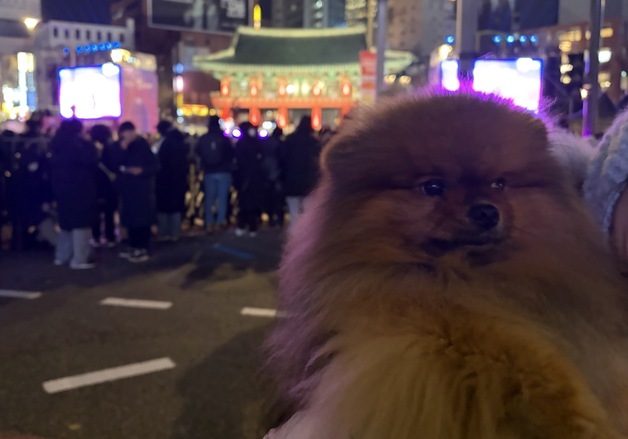 세밑 한파 속 보신각 향한 시민들 "사랑·건강 그리고 연대 소망해"