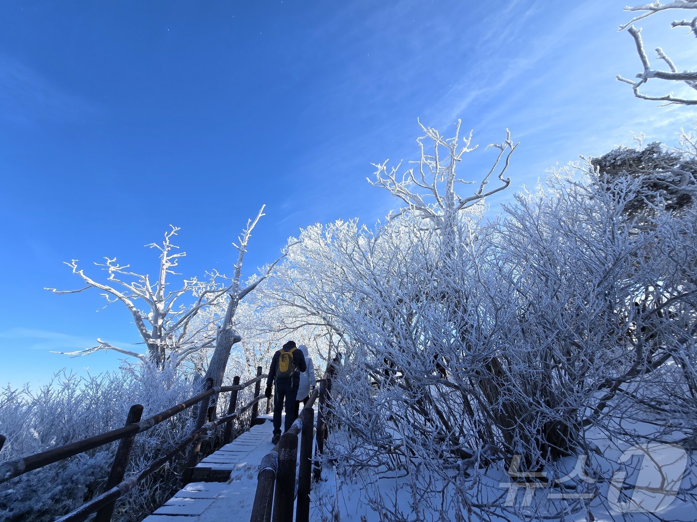 (무주=뉴스1) 장수인 기자 = 2025년 을사년(乙巳年)의 마지막 날인 31일 전북 무주군 덕유산의 향적봉 설경.(덕유산국립공원사무소 제공. 재판매 및 DB금지) 2025.12. …