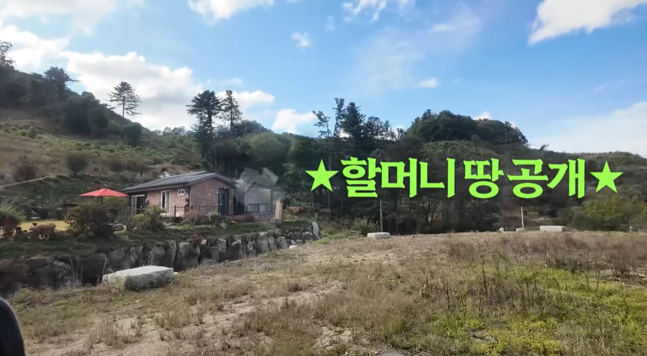 본문 이미지 - 김영옥 유튜브 영상 갈무리