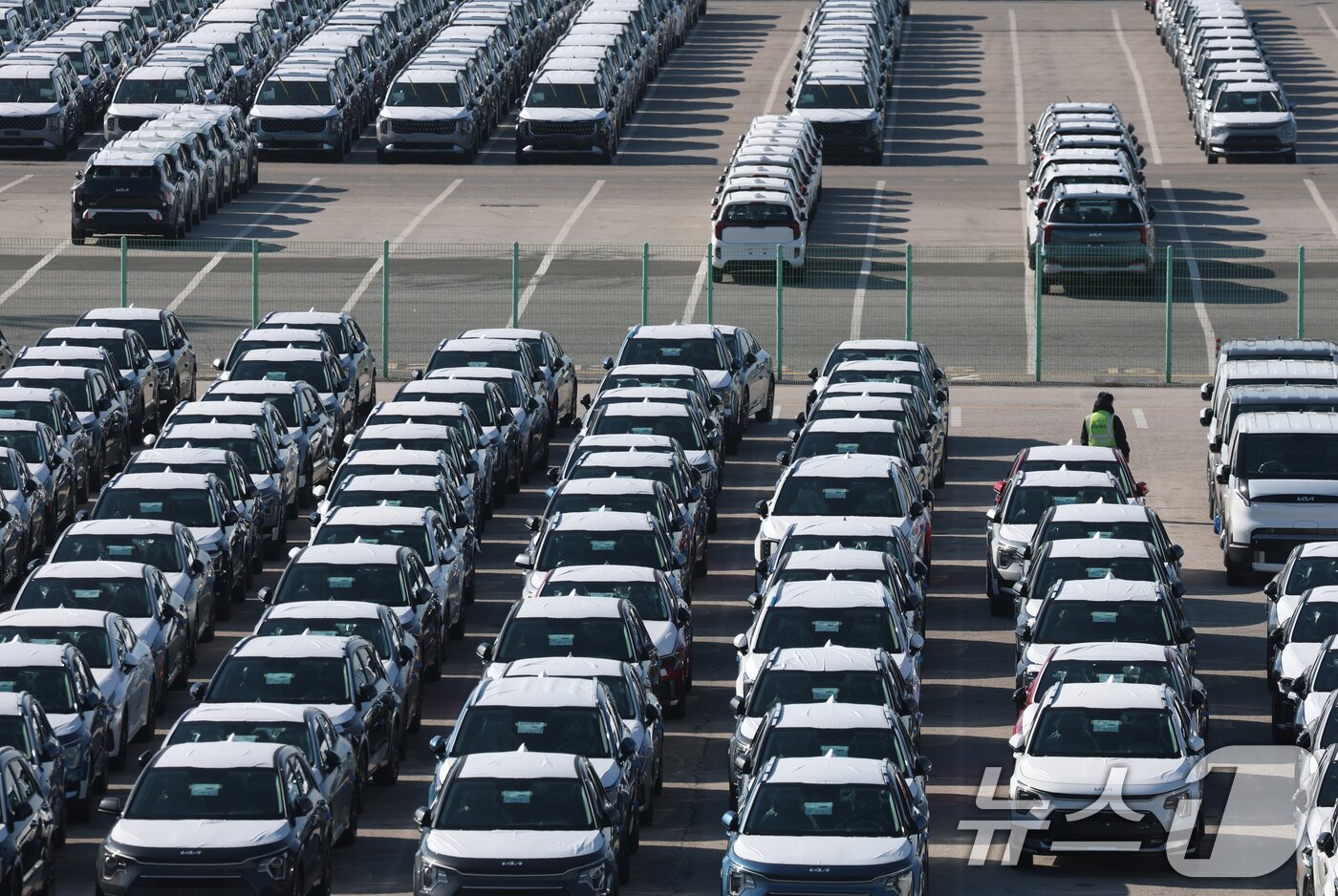 본문 이미지 - 4일 경기 평택시 포승읍 평택항에 수출용 차량이 세워져 있다. 한국산 자동차 관세를 15%로 인하하는 내용이 3일(현지시간) 미국 정부 관보에 게재됐다. 이 관보는 현지시간으로 4일 공식 게재돼 발효되며 인하 조치는 2025년 11월 1일 이후 수입 건부터 소급 적용된다. 2025.12.4/뉴스1 ⓒ News1 김영운 기자