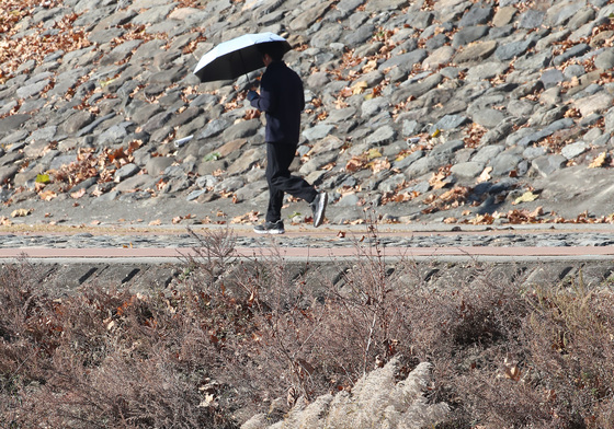 햇볕 잘드는 곳에서 먹이 찾는 백로