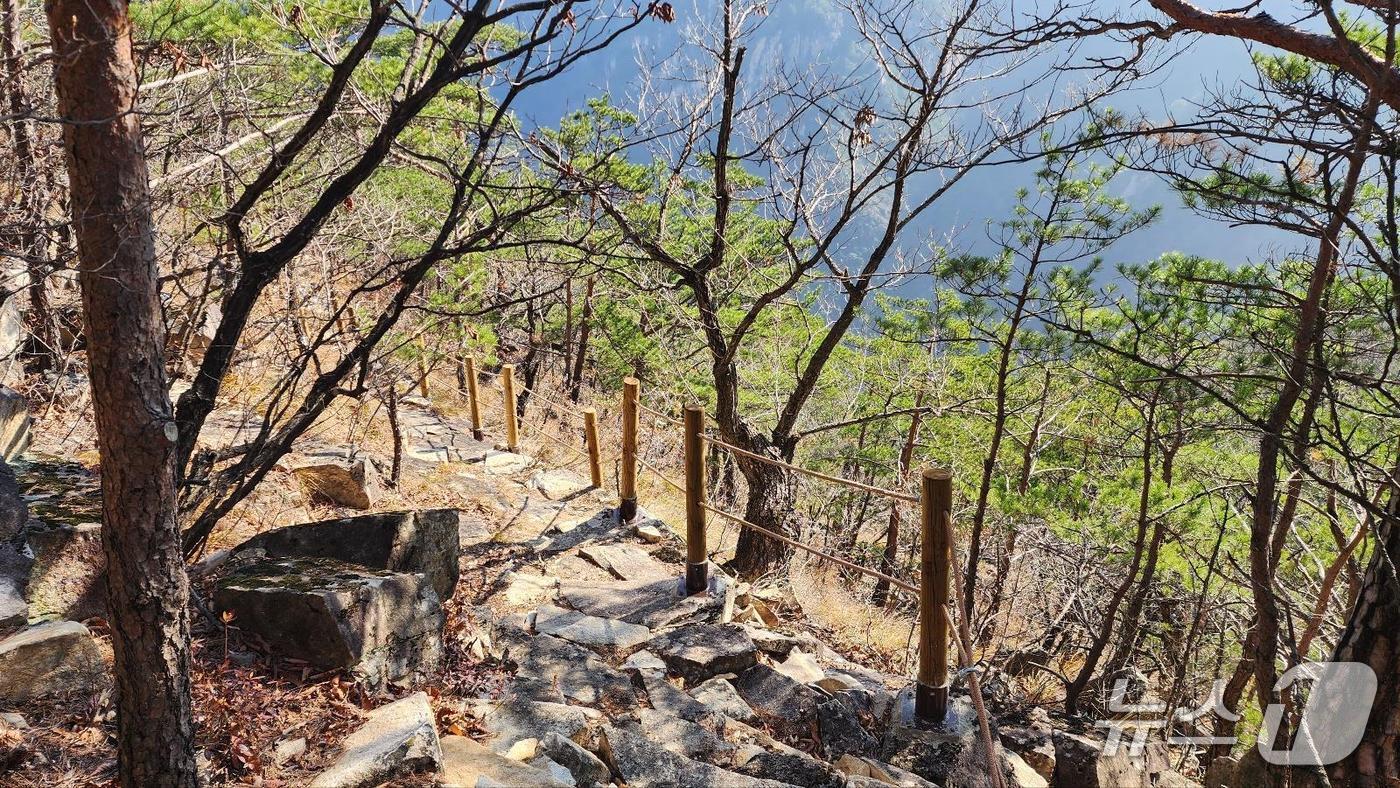 본문 이미지 - 최근 조성된 강원 동해시 무릉계곡 피마름골 숲길.&#40;동해시 제공, 재판매 및 DB 금지&#41; 2025.12.4/뉴스1