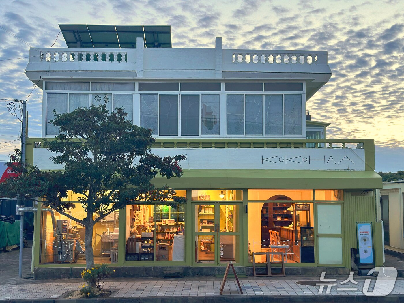 본문 이미지 - 코코하.(제주관광공사 제공, 재판매 및 DB 금지)