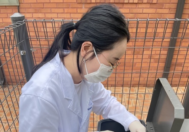 청주도심 모기 전년보다 절반 감소…"폭염·국지성 호우 영향"