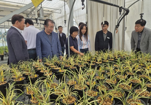 '합천춘란' 올해 농가 매출만 10억원…신소득 작물 부상