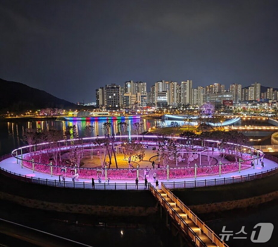 본문 이미지 - 대전  갑천생태호수공원 야경 &#40;대전도시공사 제공&#41; / 뉴스1 