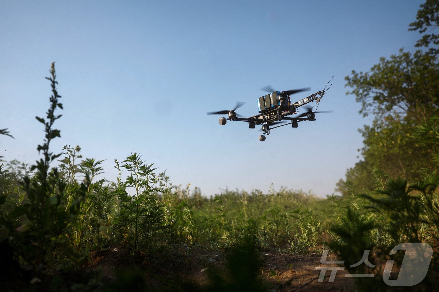 본문 이미지 - &lt;기사와 무관한 자료사진&gt; ⓒ 로이터=뉴스1