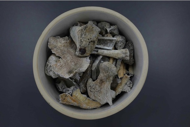 6·25 포항전투서 숨진 19세 정용환 일병, 75년 만에 귀환