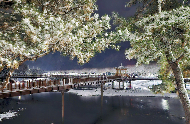 [풍경] 첫눈 내려 드러난 괴산 에코브릿지의 겨울 풍광