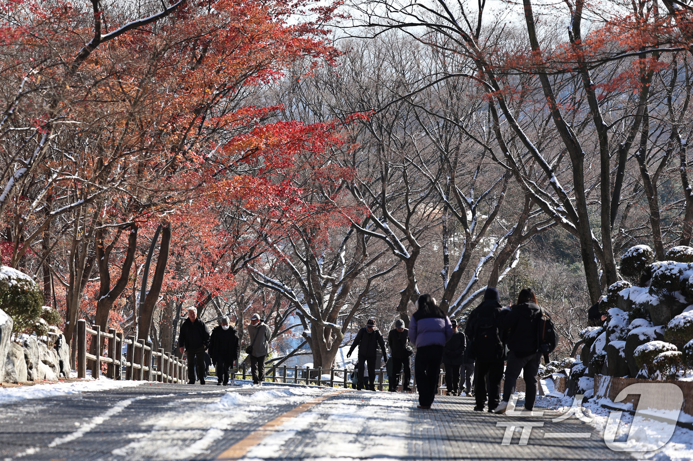 (서울=뉴스1) 구윤성 기자 = 5일 오전 시민들이 서울 남산에서 산책을 하고 있다. 2025.12.5/뉴스1