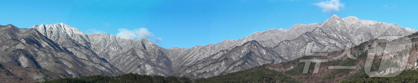 (서울=뉴스1) = 5일 경남 거창군 북상면 남덕유산 삿갓재 능선에 밤사이 내린 첫눈이 쌓여 있다. (거창군 제공. 재판매 및 DB 금지) 2025.12.5/뉴스1