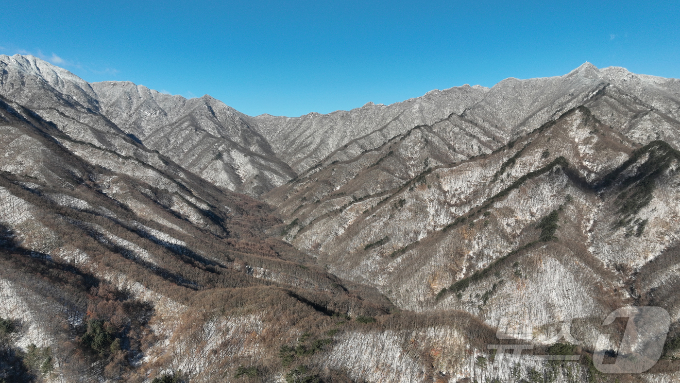 (서울=뉴스1) = 5일 경남 거창군 북상면 남덕유산 삿갓재 능선에 밤사이 내린 첫눈이 쌓여 있다. (거창군 제공. 재판매 및 DB 금지) 2025.12.5/뉴스1