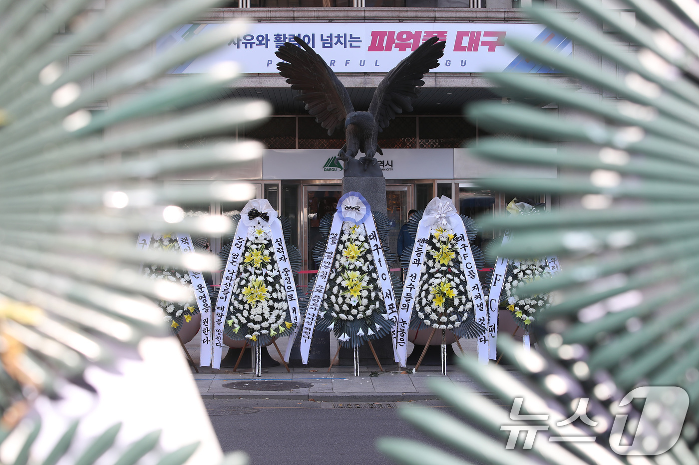 (대구=뉴스1) 공정식 기자 = 대구의 시민 프로축구단 대구FC 응원단(그라지예)과 축구팬들이 5일 오전 대구 중구 동인청사 앞에서 대구FC K리그2 강등에 대한 구단의 쇄신과 대 …