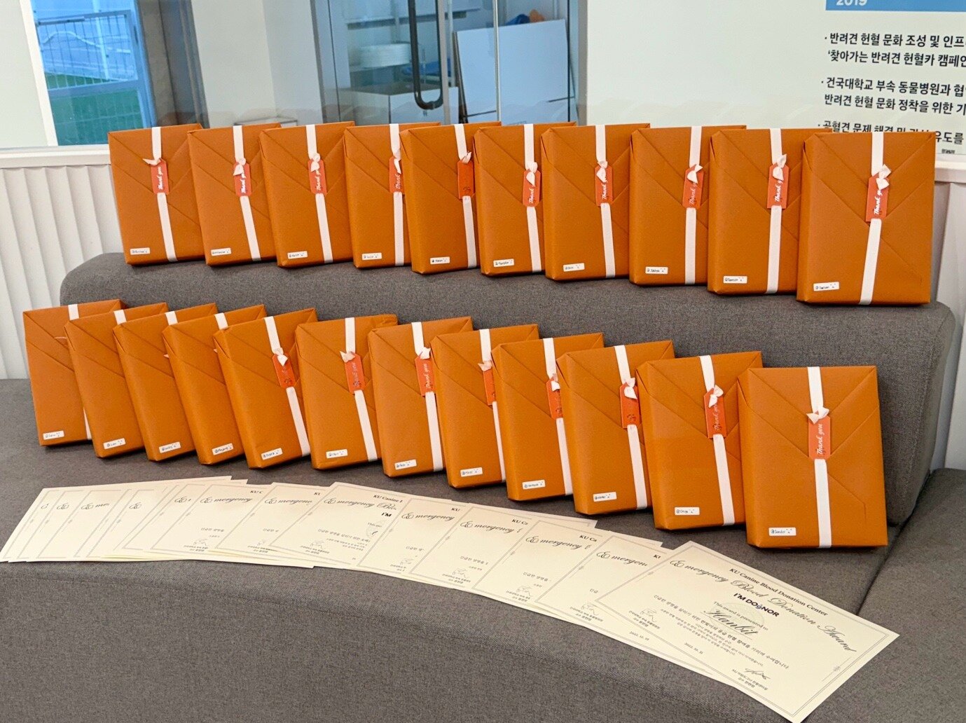 본문 이미지 - 응급헌혈견과 보호자들에게 전해진 선물과 증서&#40;건국대 제공&#41; ⓒ 뉴스1