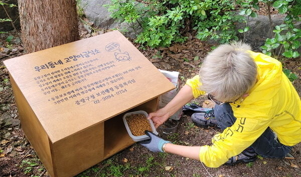 본문 이미지 - 중랑구는 동물복지 주민네트워크 활성화 사업을 통해 길고양이 공공급식소 운영 및 캠페인을 진행하고 있다&#40;중랑구 제공&#41;. ⓒ 뉴스1