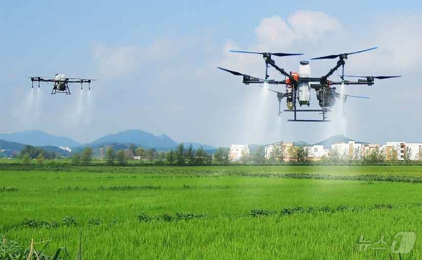 (평양 노동신문=뉴스1) = 북한 노동당 기관지 노동신문은 6일 조선중앙통신사 보도 '농업생산의 지속적인 장성을 위한 투쟁에서 이룩된 자랑찬 결실'을 통해 "새시대 농촌혁명 강령이 …