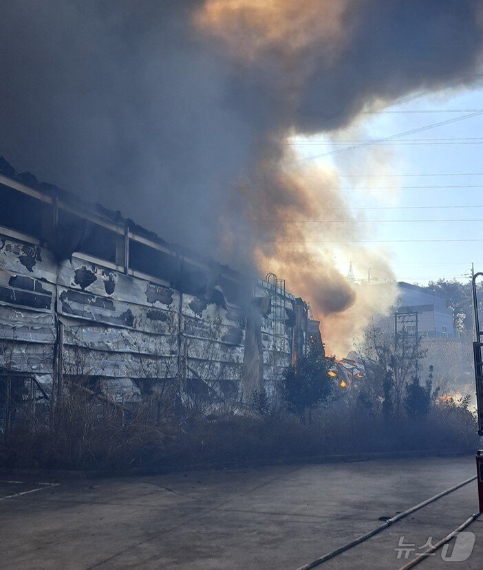 본문 이미지 - 6일 낮 12시 35분쯤 경북 칠곡 왜관읍의 한 섬유공장에서 원인을 알 수 없는 불이 나 연기가 치솟고 있다. &#40;경북소방본부 제공. 재판매 및 DB 금지&#41; 2025.12.6/뉴스1 ⓒ News1 남승렬 기자