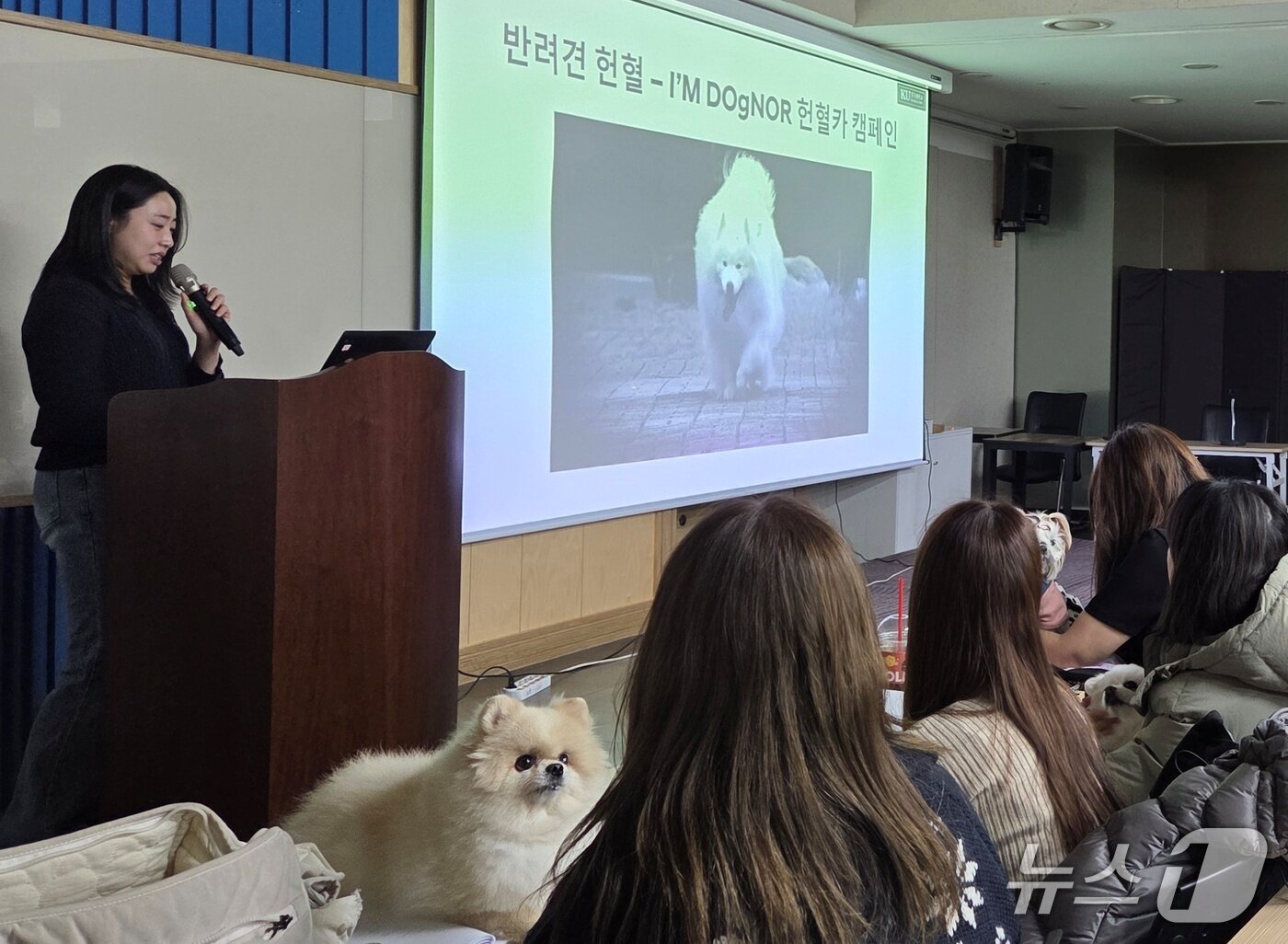 본문 이미지 - 최희재 건국대 동물병원 수의사가 6일 서울 강남구 샹제리제센터에서 열린 &#39;제9회 내강내고 컨퍼런스&#39;에서 강의를 하고 있다. ⓒ 뉴스1