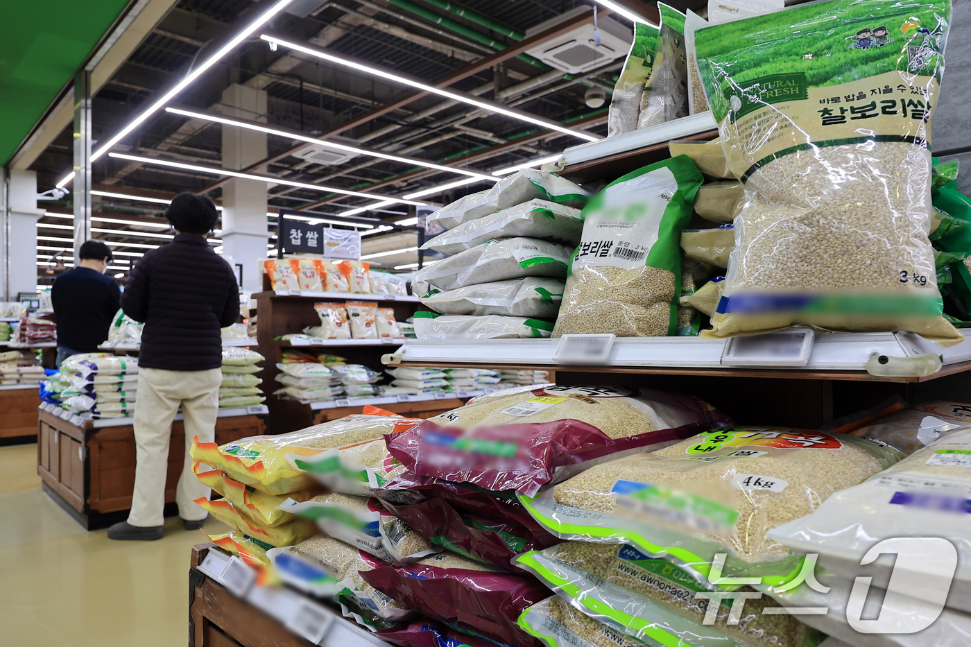 (서울=뉴스1) 이호윤 기자 = 7일 국가데이터처에 따르면 지난달 소비자물가지수는 117.20(2020=100)으로 전년 동월보다 2.4% 상승했다. 특히 전체 품목 중 상승률 상 …