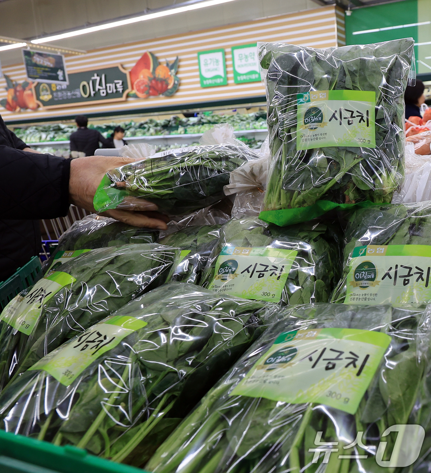 (서울=뉴스1) 이호윤 기자 = 7일 국가데이터처에 따르면 지난달 소비자물가지수는 117.20(2020=100)으로 전년 동월보다 2.4% 상승했다. 특히 전체 품목 중 상승률 상 …