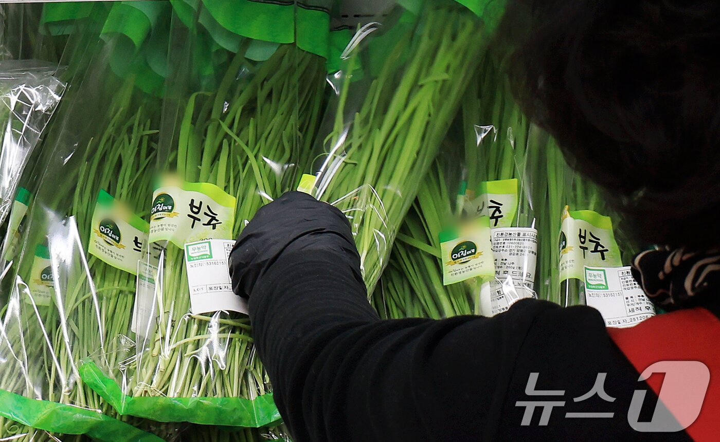 본문 이미지 - 서울의 한 마트에서 직원이 부추를 진열하는 모습. 2025.12.7/뉴스1 ⓒ News1 이호윤 기자