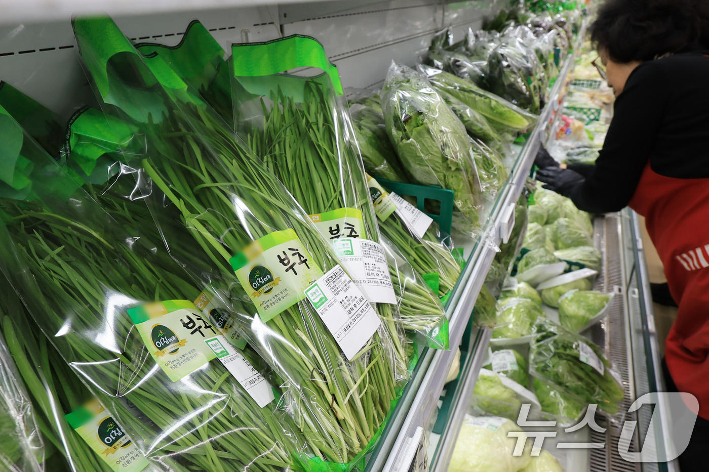 (서울=뉴스1) 이호윤 기자 = 7일 국가데이터처에 따르면 지난달 소비자물가지수는 117.20(2020=100)으로 전년 동월보다 2.4% 상승했다. 특히 전체 품목 중 상승률 상 …