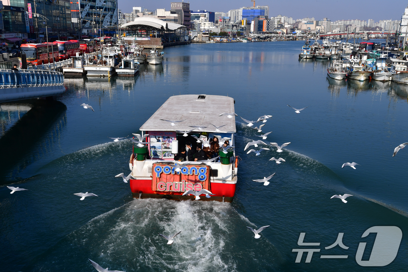 (포항=뉴스1) 최창호 기자 = 절기상 대설 (大雪)인 7일 경북 포항시 동빈내항에서 포항운하 크루즈선을 탄 관광객들이 갈매기들에게 새우맛 과자를 던져주고 있다.  2025.12. …