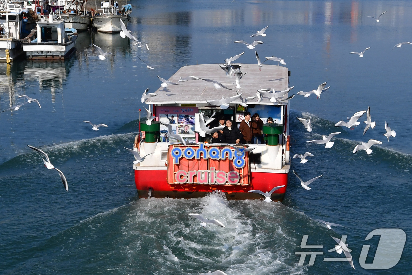 (포항=뉴스1) 최창호 기자 = 절기상 대설 (大雪)인 7일 경북 포항시 동빈내항에서 포항운하 크루즈선을 탄 관광객들이 갈매기들에게 새우맛 과자를 던져주고 있다. 2025.12.7 …