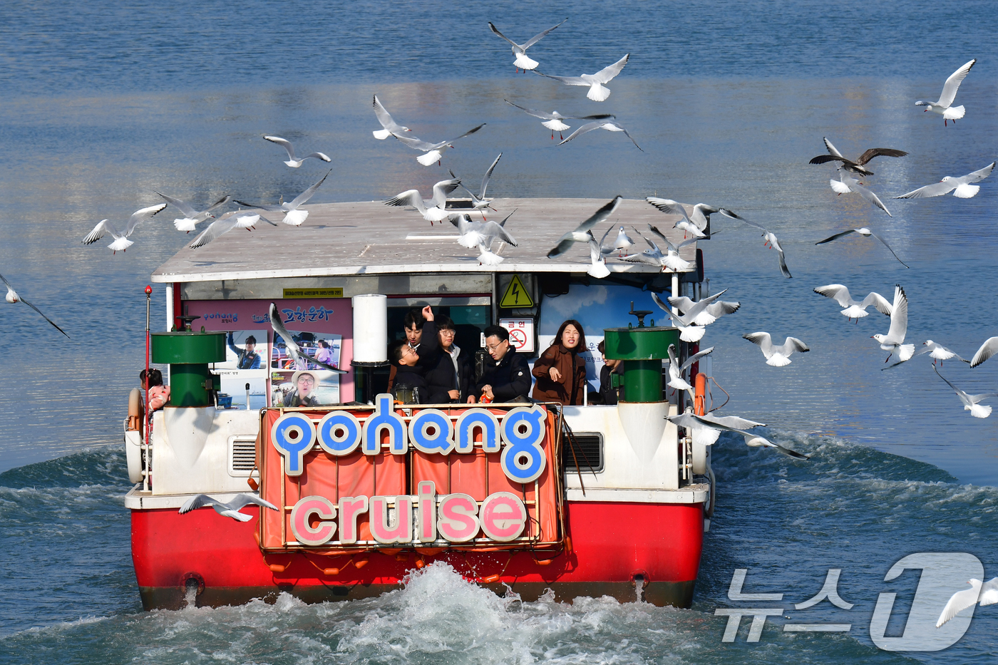 (포항=뉴스1) 최창호 기자 = 절기상 대설 (大雪)인 7일 경북 포항시 동빈내항에서 포항운하 크루즈선을 탄 관광객들이 갈매기들에게 새우맛 과자를 던져주고 있다. 2025.12.7 …