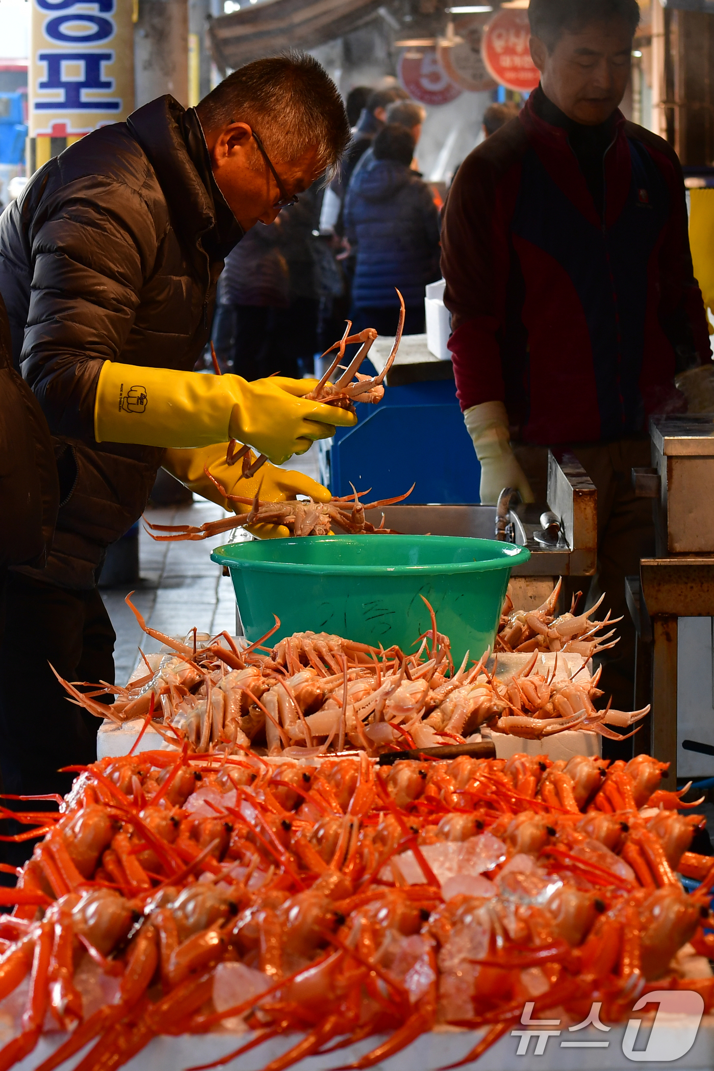 (포항=뉴스1) 최창호 기자 = 7일 경북 포항시 죽도어시장에서 상인들이 판매할 대게를 좌판에 진열하고 있다. 2025.12.7/뉴스1