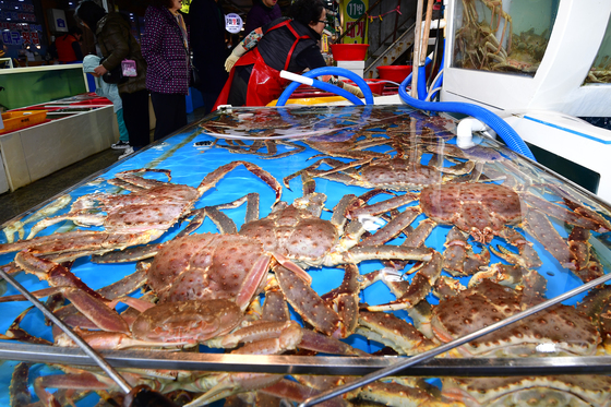 킹크렙도 있습니다